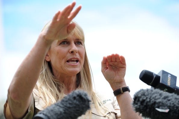 Celebrity Net Worth logo